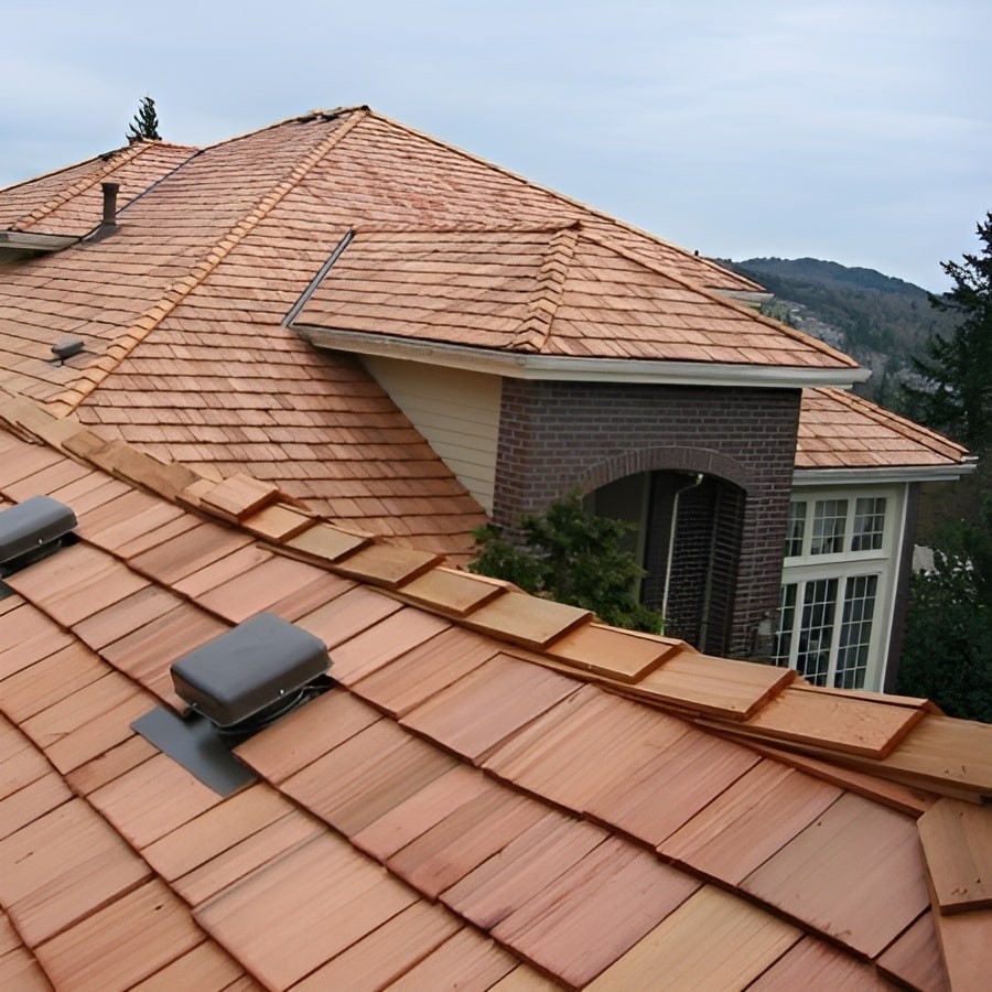 Roof cleaning