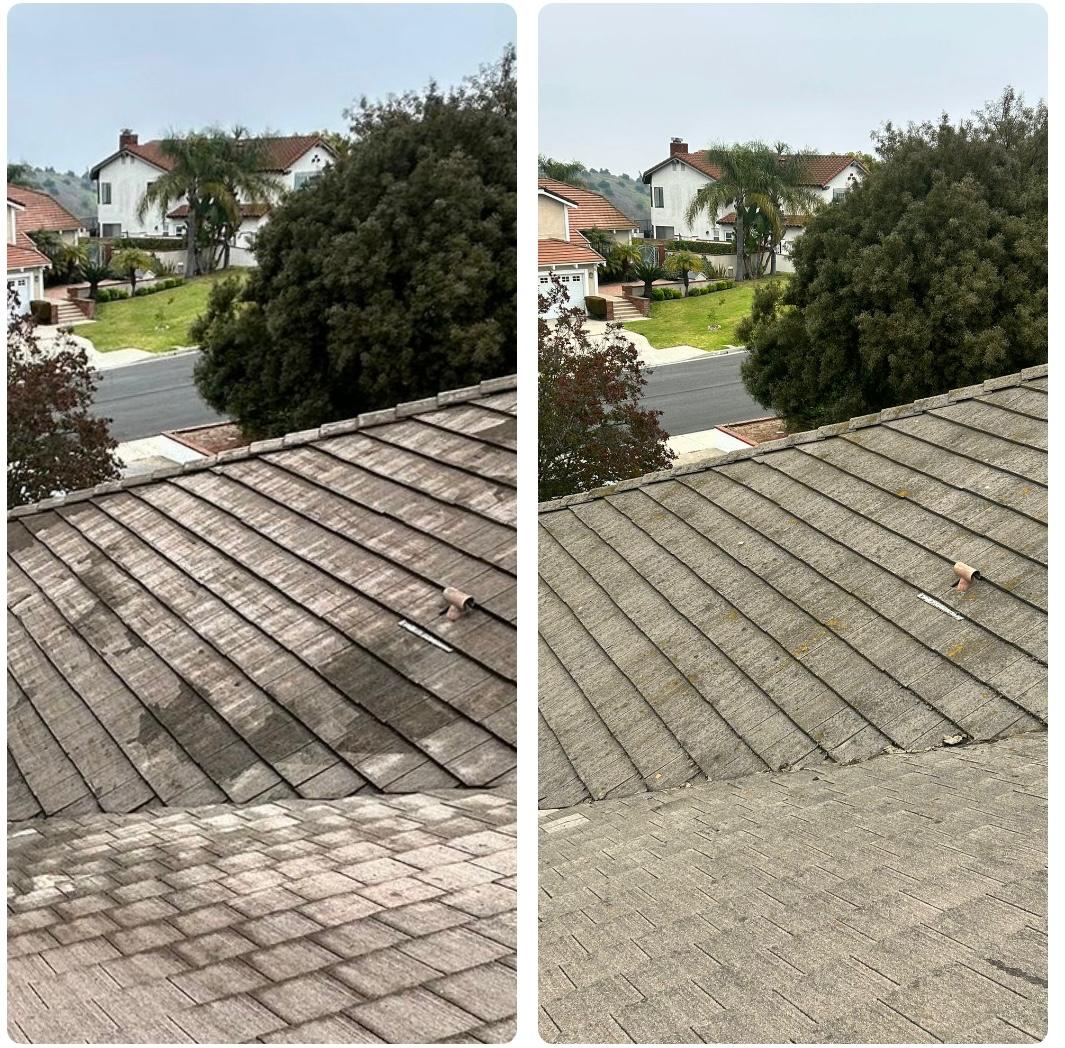 roof cleaning